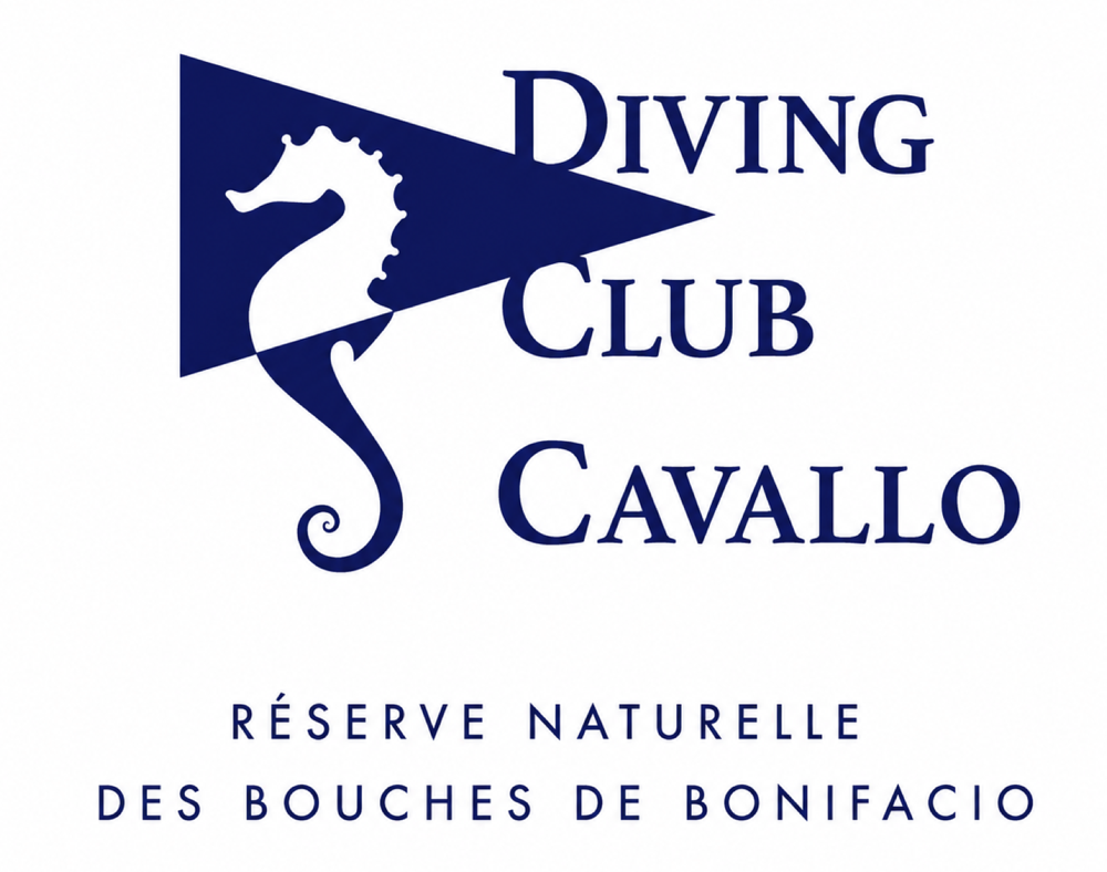 Diving Club Cavallo — Réserve Naturelle des Bouches de Bonifacio